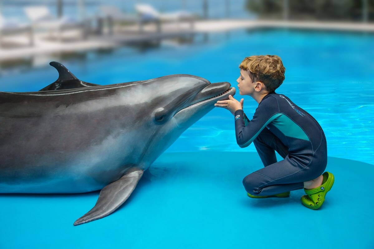 Dolphin Therapy