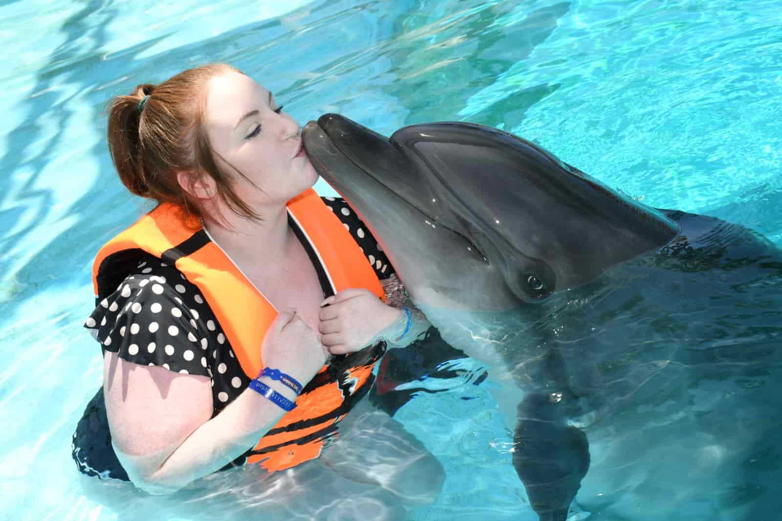 Swim with Dolphins at Alanya Dolphinpark