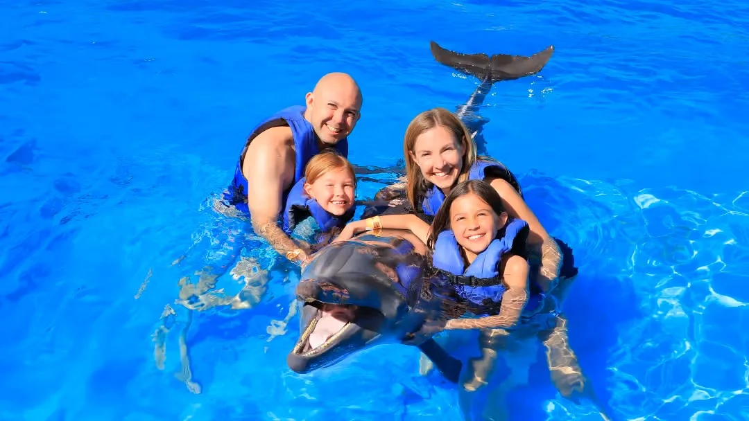 Alanya Dolphin Show and Swimming with Dolphins | Both Way Transfer is Included